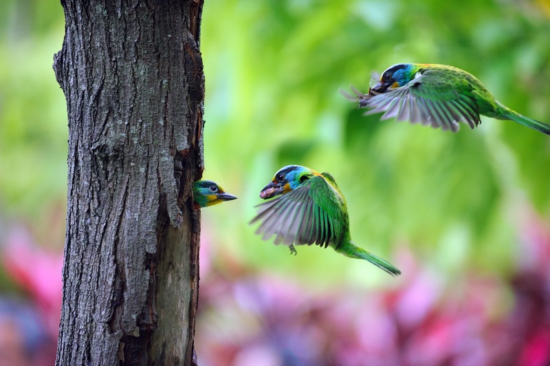 Travel and scenic photography