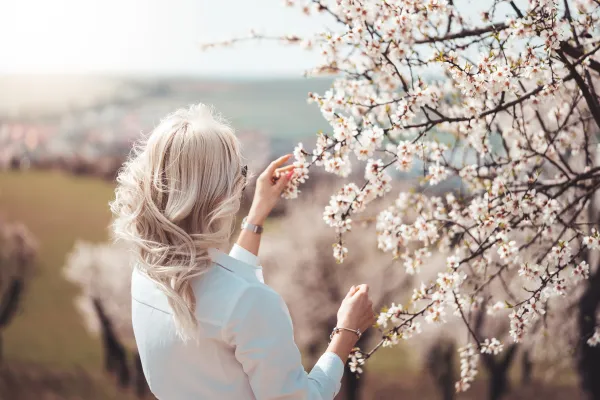 Young woman admiring almond tree blossoms
